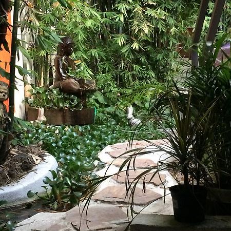 Mi Aldea Holistica Hotel Мексико Сити Екстериор снимка