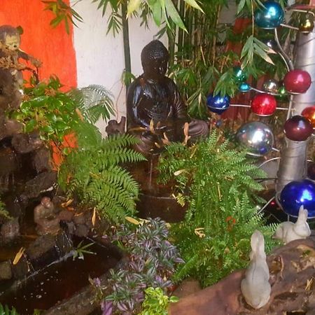Mi Aldea Holistica Hotel Мексико Сити Екстериор снимка