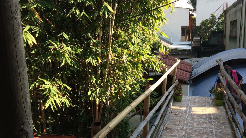 Mi Aldea Holistica Hotel Мексико Сити Екстериор снимка