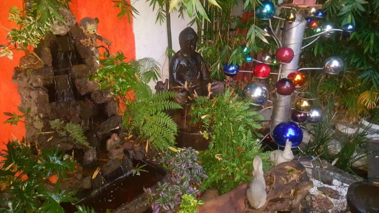 Mi Aldea Holistica Hotel Мексико Сити Екстериор снимка