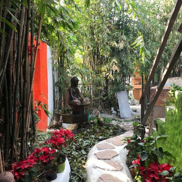 Mi Aldea Holistica Hotel Мексико Сити Екстериор снимка