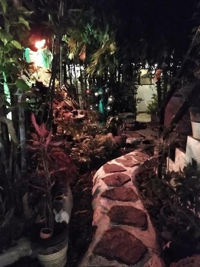 Mi Aldea Holistica Hotel Мексико Сити Екстериор снимка